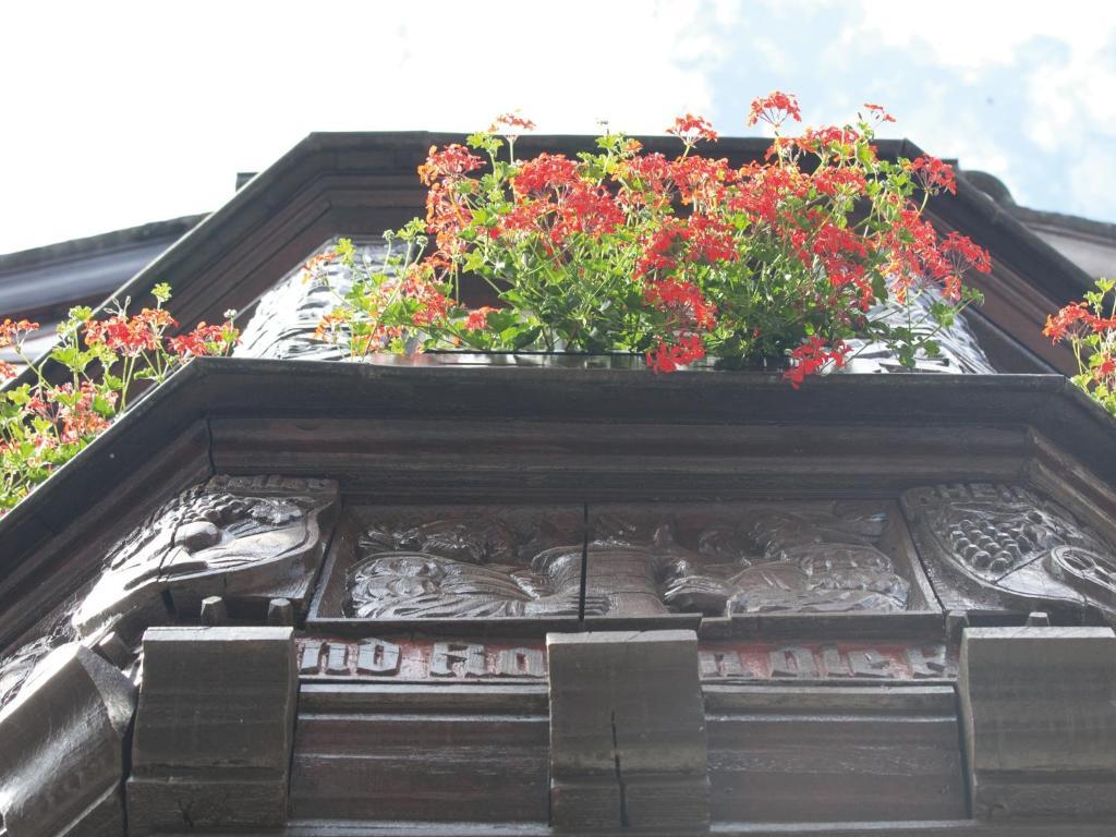 Hotel Felsenkeller Rüdesheim am Rhein Exterior foto
